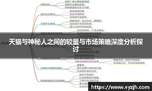 天猫与神秘人之间的较量与市场策略深度分析探讨